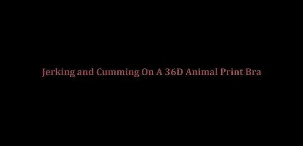  Punhetando e Gozando no Sutia Animal Print 36D